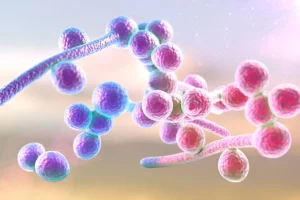 Read more about the article Meeting the Therapeutic Challenges of Emergent and Rare Invasive Fungal Diseases Through Novel Clinical Trial Designs