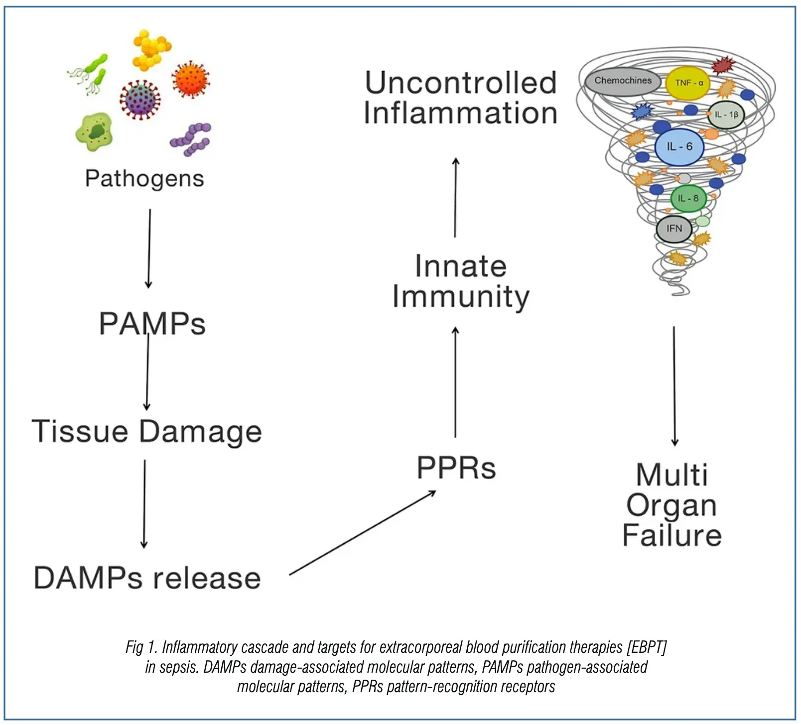 pathogen-associated-molecular-patterns