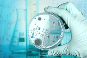 Invasive-Fungal-Diseases-in-Adult-Patients-in-ICU