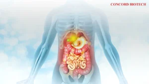 Read more about the article The Surgical Infection Society Guidelines on the Management of Intra-Abdominal Infection