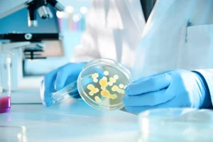 Read more about the article Global guideline for the diagnosis and management of candidiasis: an initiative of the ECMM in cooperation with ISHAM and ASM