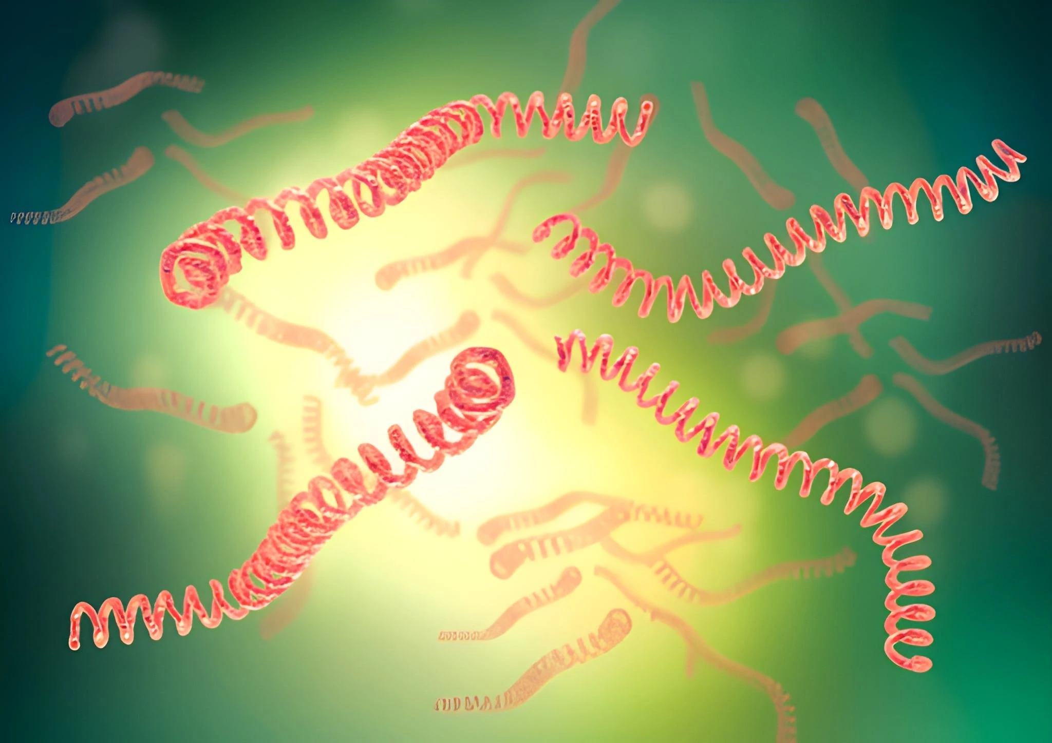 Bilateral-abducens-nerve-palsy-in-anicteric-leptospirosis
