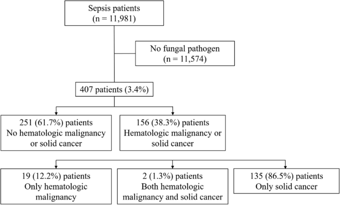 Flowchart-of-enrolled-patients