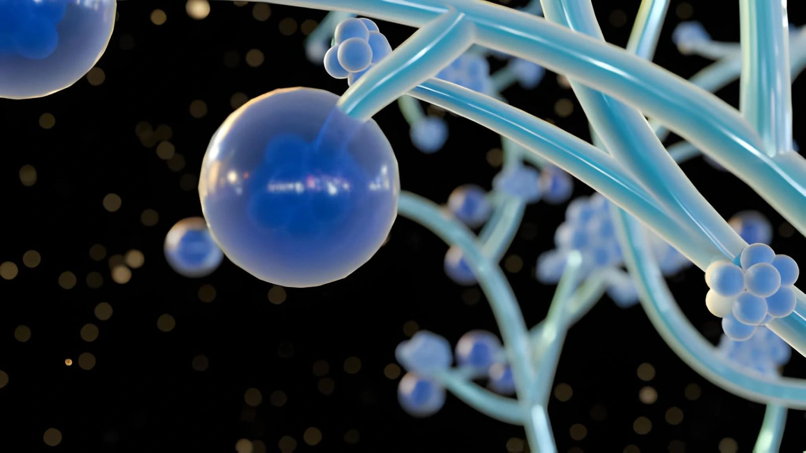 Read more about the article Diagnostic Approaches to Invasive Candidiasis: Challenges and New Perspectives